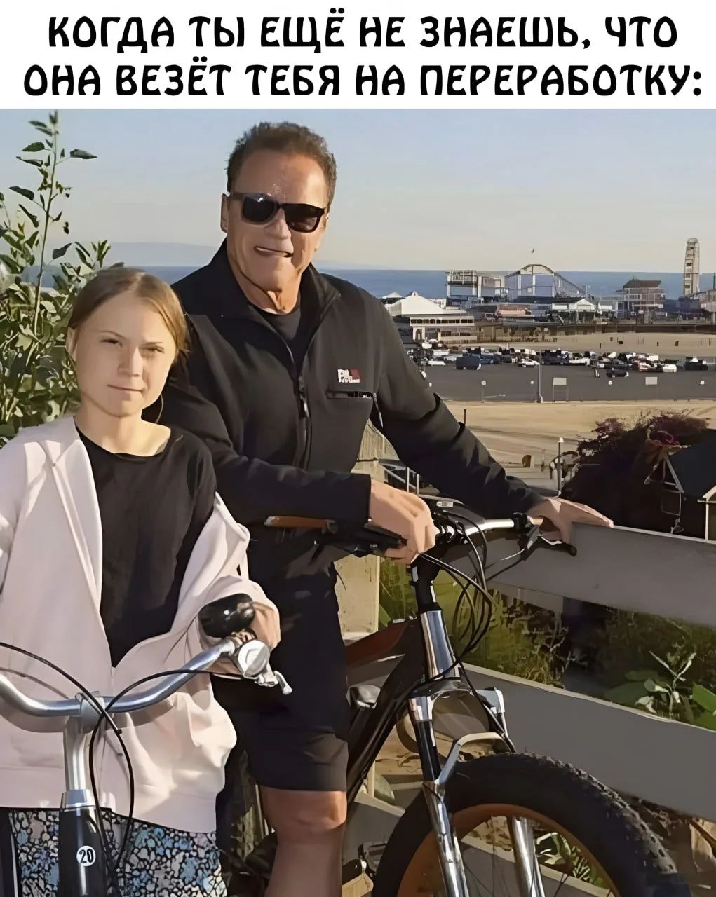 КОГДА ТЫ ЕЩЁ НЕ ЗНАЕШЬ, ЧТО ОНА ВЕЗЁТ ТЕБЯ НА ПЕРЕРАБОТКУ:
