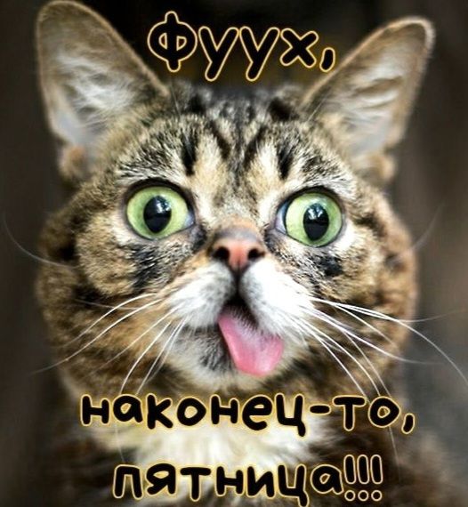 ФУУХ, наконец-то, пятница!!!
