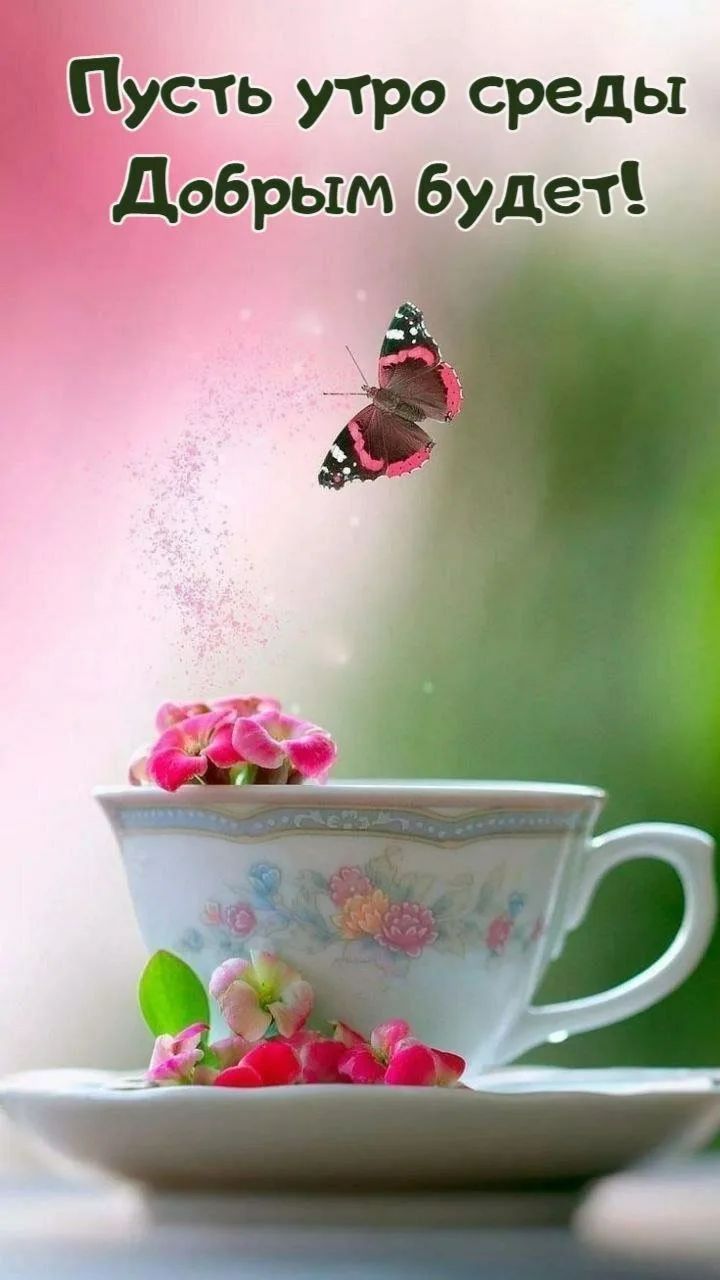 Пусть утро среды Добрым будет!