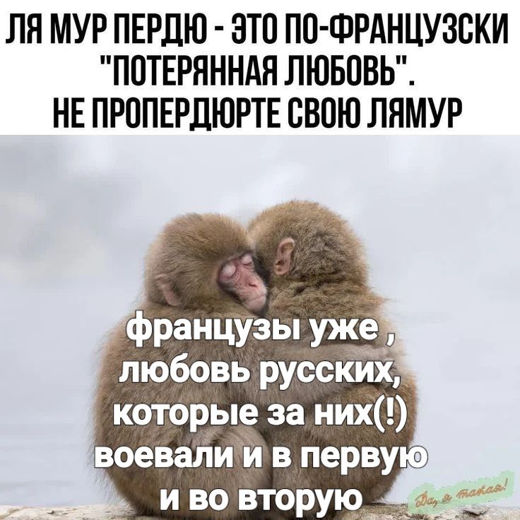 ЛЯ МУР ПЕРДЮ - ЭТО ПО-ФРАНЦУЗСКИ 