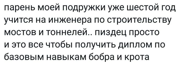 парень моей подружки уже шестой год учится на инженера по строительству мостов и тоннелей.. пиздец просто и это все чтобы получить диплом по базовым навыкам бобра и крота