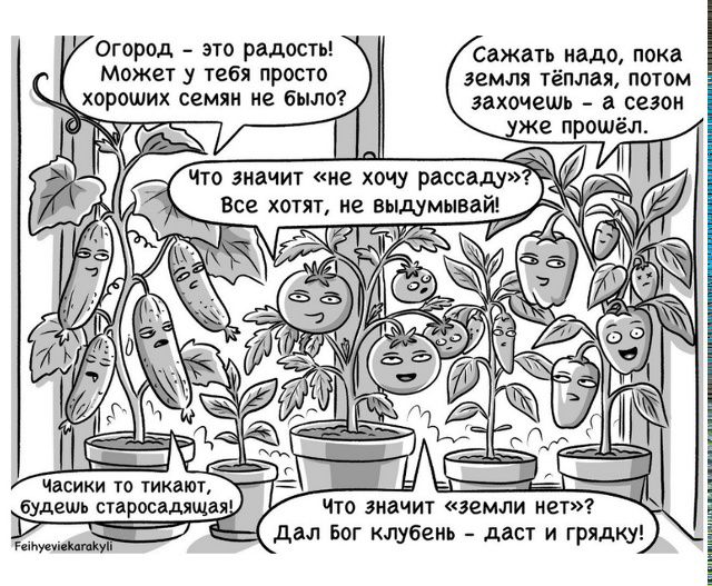 Огород - это радость! Может у тебя просто хороших семян не было? Сажать надо, пока земля тёплая, потом захочешь - а сезон уже прошёл. Что значит «не хочу рассаду»? Все хотят, не выдумывай! Часики то тикают, будешь старосадящая! Что значит «земли нет»? Дал бог клубень - даст и грядку!