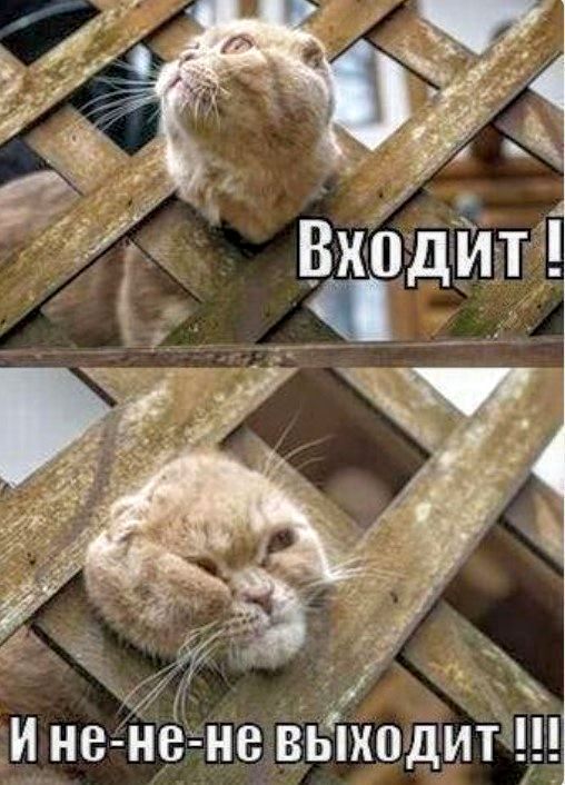 Входит ! И не-не-не выходит !!!
