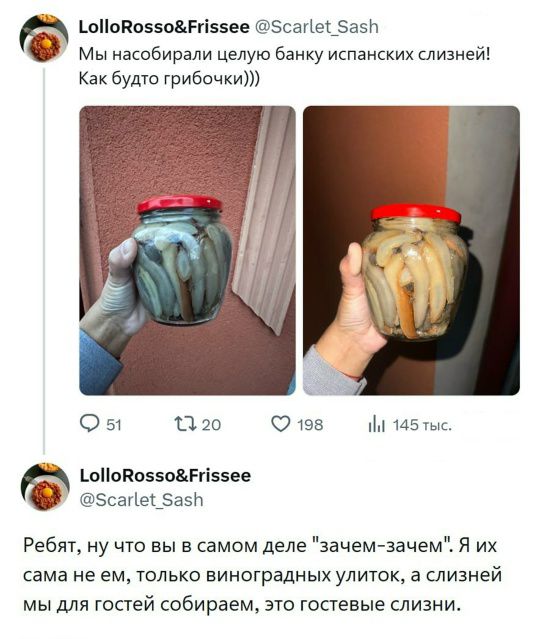 Мы насобирали целую банку испанских слизней! Как будто грибочки))) Ребят, ну что вы в самом деле 