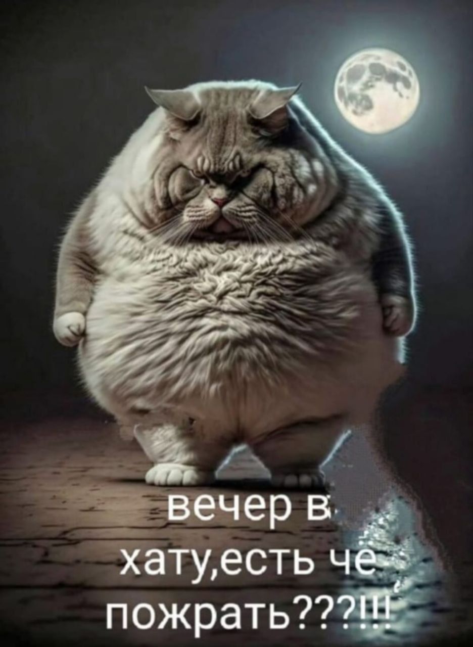 вечер в хату, есть че пожрать???