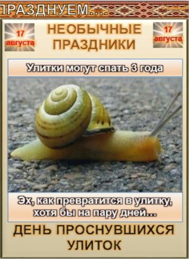 ПРАЗДНУЕМ... 17 августа НЕОБЫЧНЫЕ ПРАЗДНИКИ 17 августа Улитки могут спать 3 года Эх, как превратится в улитку, хотя бы на пару дней... ДЕНЬ ПРОСНУВШИХСЯ УЛИТОК
