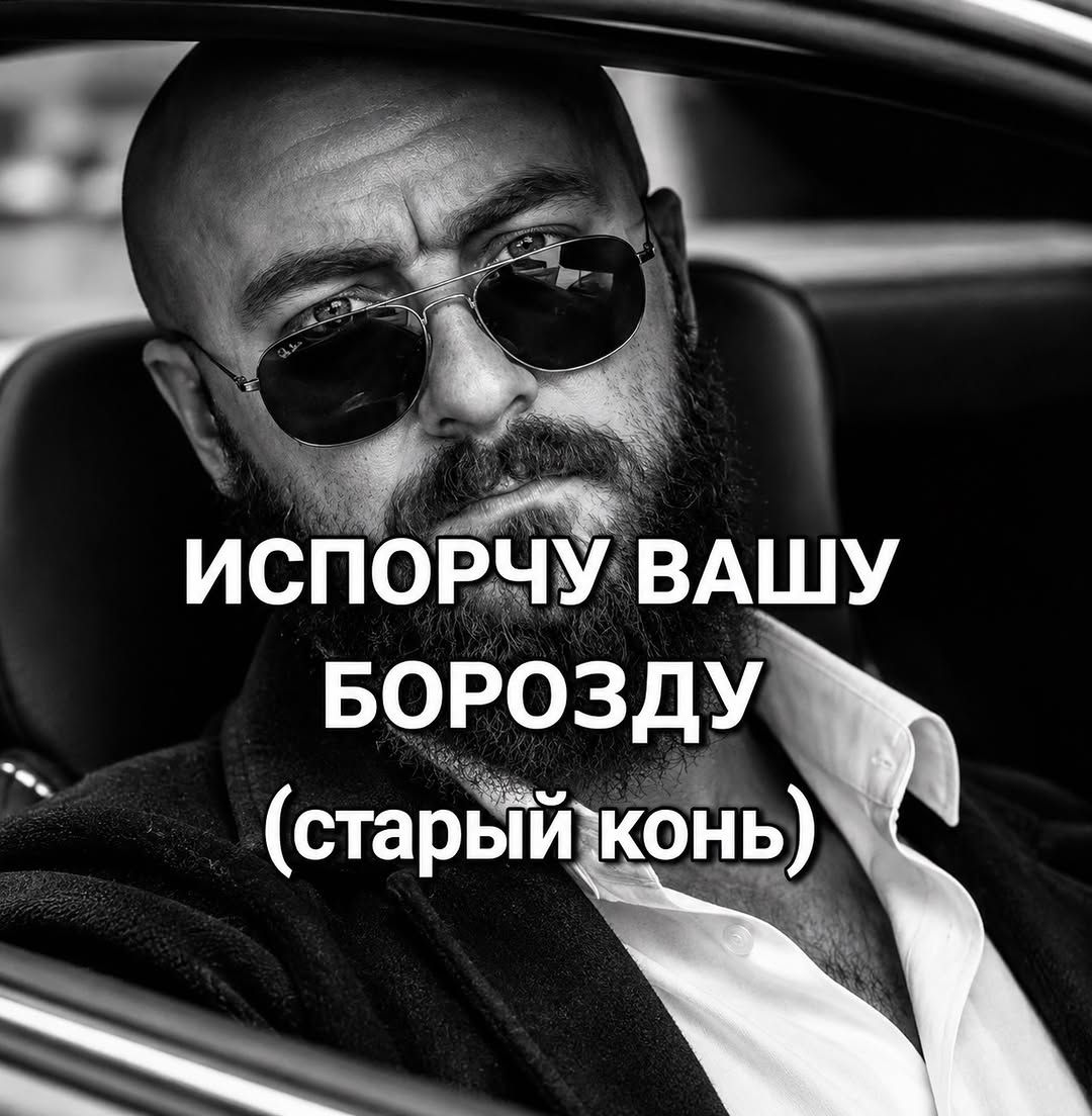 ИСПОРЧУ ВАШУ БОРОЗДУ (старый конь)