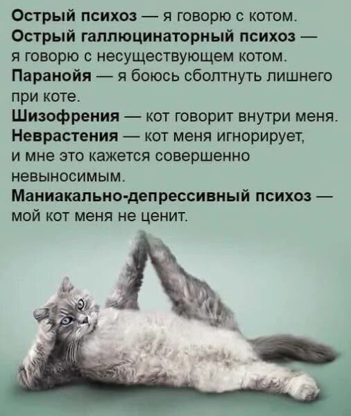Острый психоз — я говорю с котом. Острый галлюцинаторный психоз — я говорю с несуществующем котом. Паранойя — я боюсь сболтнуть лишнего при коте. Шизофрения — кот говорит внутри меня. Неврастения — кот меня игнорирует, и мне это кажется совершенно невыносимым. Маникально-депрессивный психоз — мой кот меня не ценит.