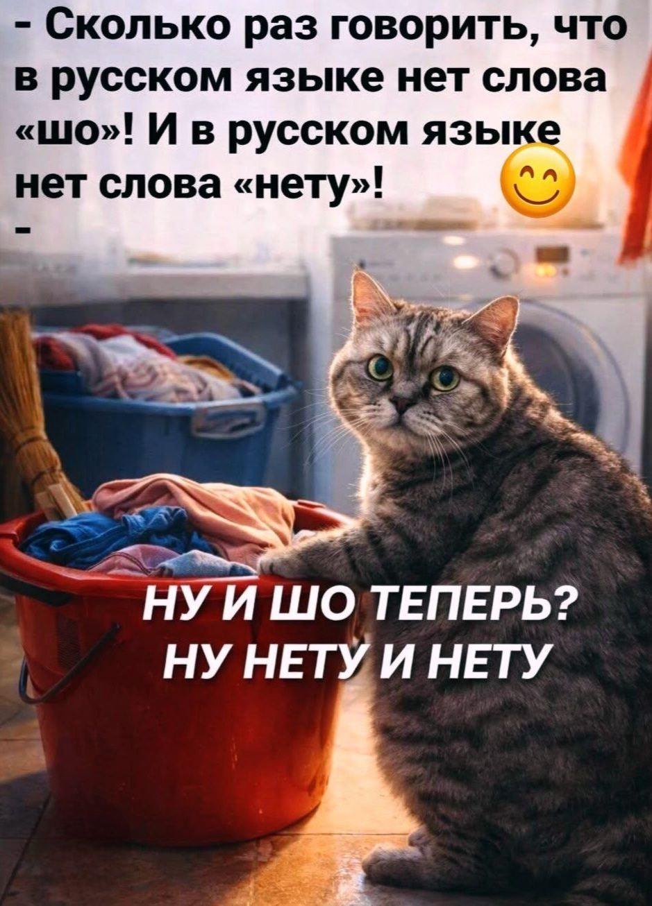 Сколько раз говорить, что в русском языке нет слова «шо»! И в русском языке нет слова «нету»! НУ И ШО ТЕПЕРЬ? НУ НЕТУ И НЕТУ