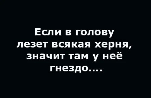 Если в голову лезет всякая херня, значит там у неё гнездо....