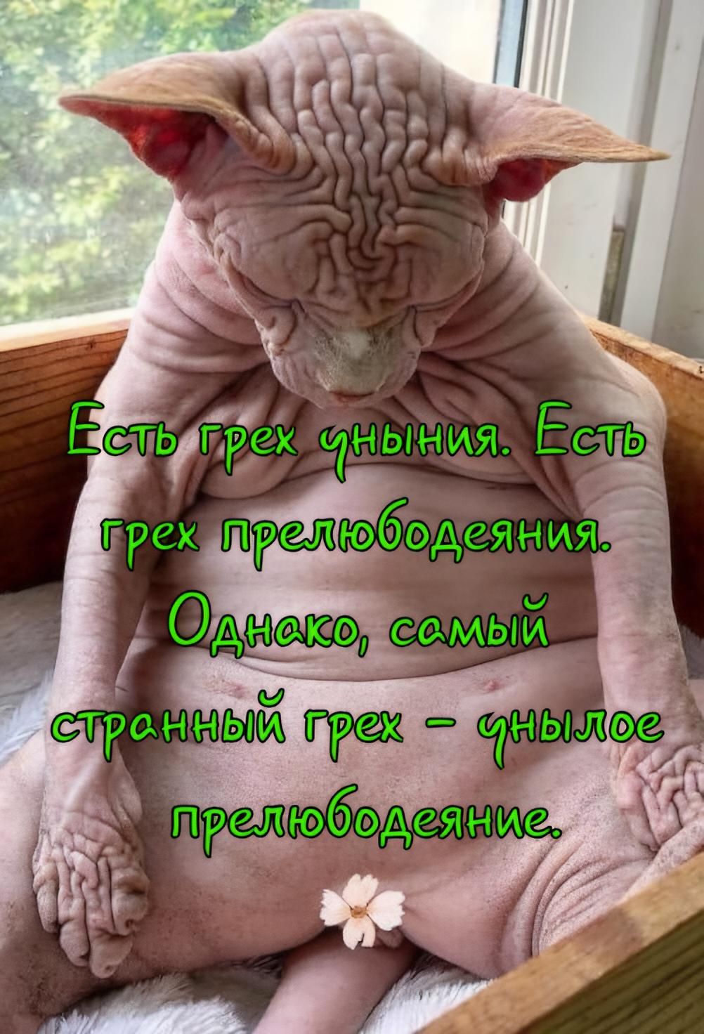 Есть грех уныния. Есть грех прелюбодеяния. Однако, самый странный грех – унылое прелюбодеяние.
