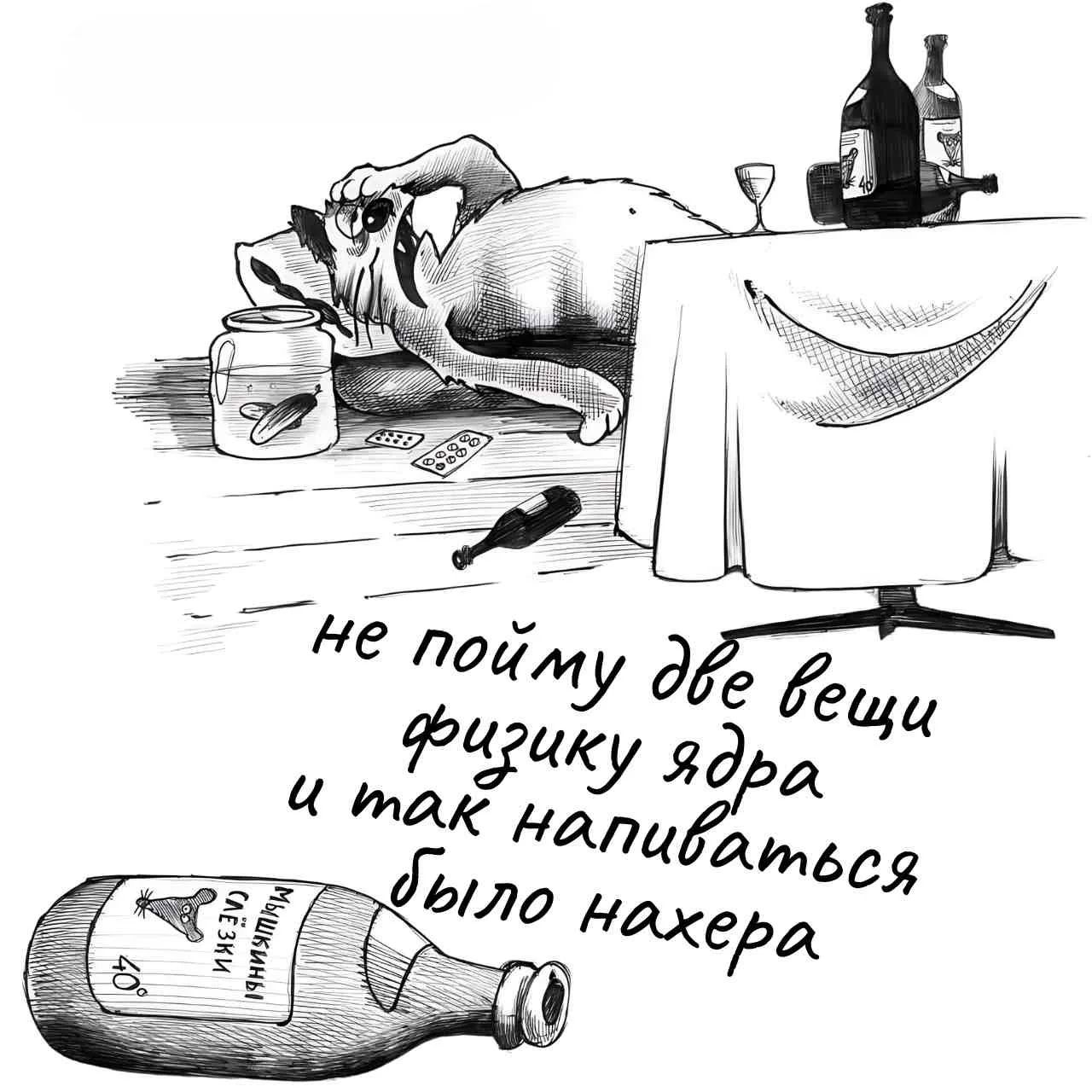 не пойму две вещи физику ядра и так напиваться было нахера Мышкины слёзки 40°