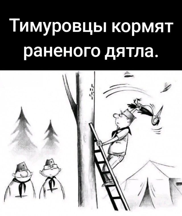 Тимуровцы кормят раненого дятла.