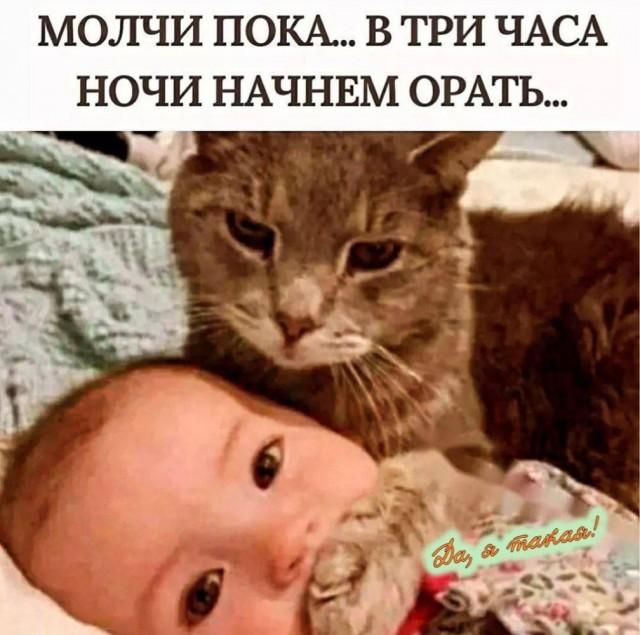 МОЛЧИ ПОКА... В ТРИ ЧАСА НОЧИ НАЧНЕМ ОРАТЬ... Да, а такая!