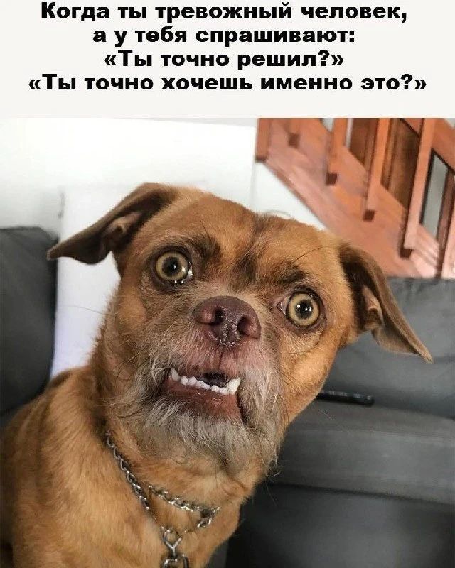 Когда ты тревожный человек, а у тебя спрашивают: «Ты точно решил?» «Ты точно хочешь именно это?»
