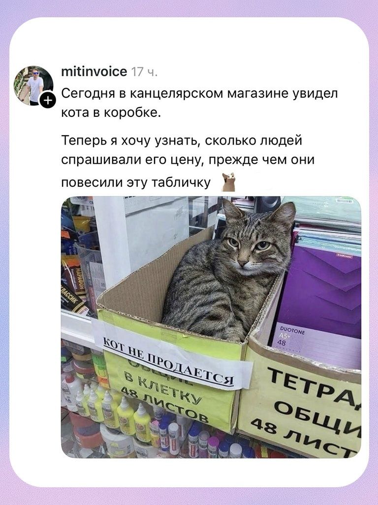 mitinvoice 17 ч. Сегодня в канцелярском магазине увидел кота в коробке. Теперь я хочу узнать, сколько людей спрашивали его цену, прежде чем они повесили эту табличку КОТ НЕ ПРОДАЕТСЯ В КЛЕТКУ 48 ЛИСТОВ ТЕТРАДИ ОБЩИЕ 48 ЛИСТОВ