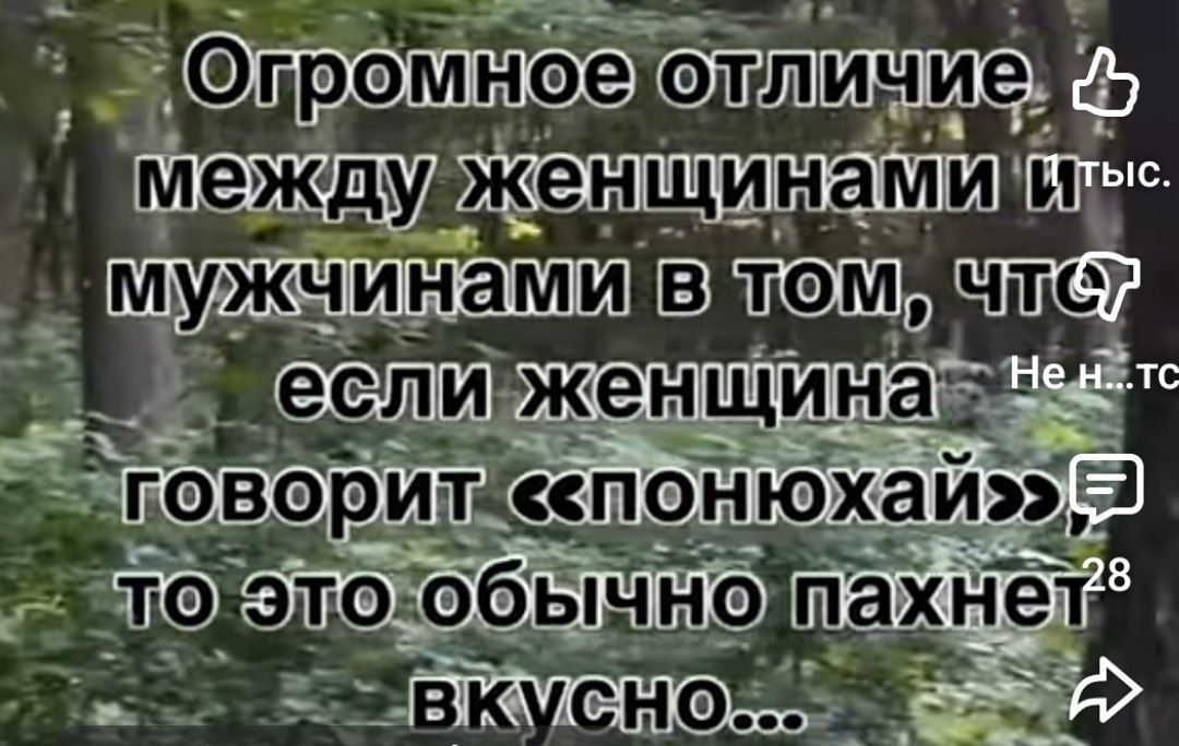 Огромное отличие между женщинами и мужчинами в том, что если женщина говорит «понюхай», то это обычно пахнет вкусно...