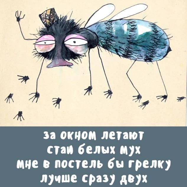 за окном летают стаи белых мух мне в постель бы грелку лучше сразу двух
