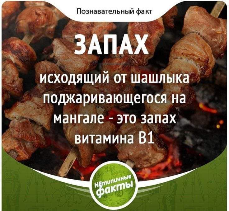 Познавательный факт. ЗАПАХ исходящий от шашлыка поджаривающегося на мангале - это запах витамина В1. Нетипичные факты.
