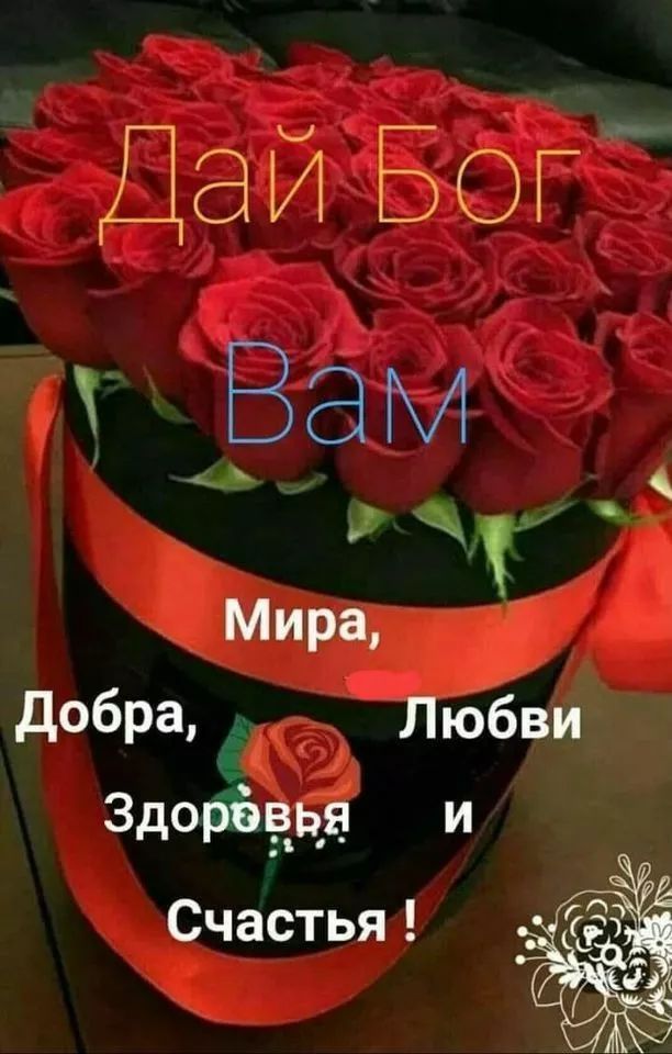 Дай Бог Вам Мира, Добра, Любви Здоровья и Счастья !