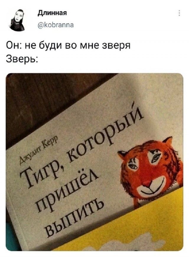Длинная @kobranana Он: не буди во мне зверя Зверь: Ажудит Керр Тигр, который пришёл выпить