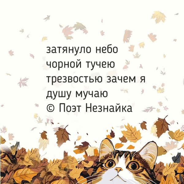 затянуло небо черной тучею трезвостью зачем я душу мучаю © Поэт Незнайка