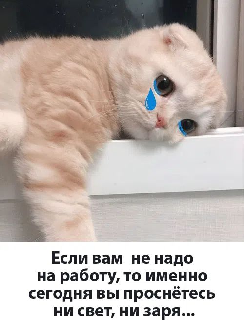 Если вам не надо на работу, то именно сегодня вы проснётесь ни свет, ни заря...