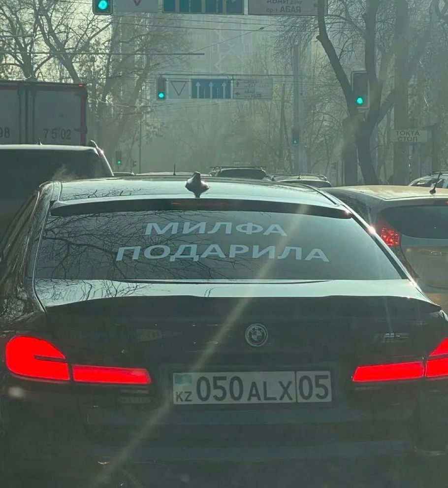 МИЛФА ПОДАРИЛА