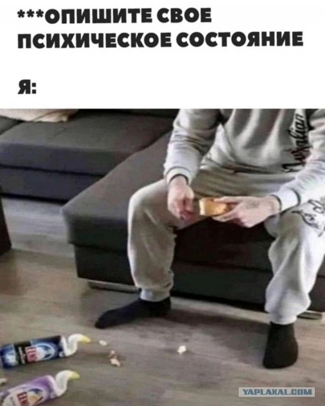 ***ОПИШИТЕ СВОЕ ПСИХИЧЕСКОЕ СОСТОЯНИЕ Я: Человек сидит на диване, держит кусок хлеба. На полу лежат два тюбика и крошки.
