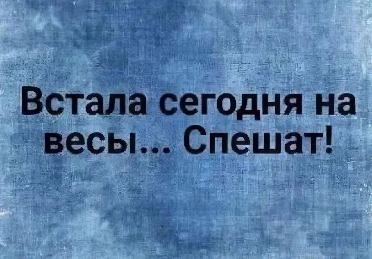 Встала сегодня на весы... Спешат!