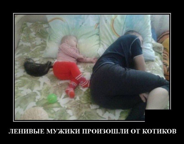 ЛЕНИВЫЕ МУЖИКИ ПРОИЗОШЛИ ОТ КОТИКОВ