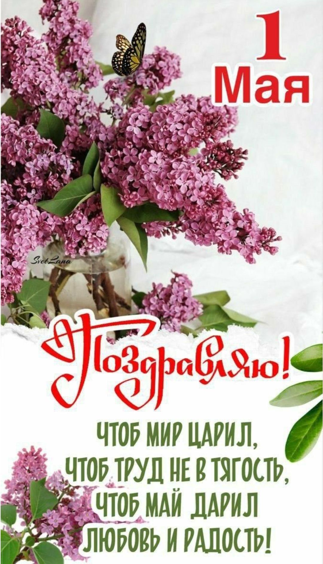 1 Мая Svet Lana Поздравляю! ЧТОБ МИР ЦАРИЛ, ЧТОБ ТРУД НЕ В ТЯГОСТЬ, ЧТОБ МАЙ ДАРИЛ ЛЮБОВЬ И РАДОСТЬ!