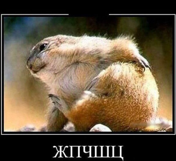 ЖПЧШЦ