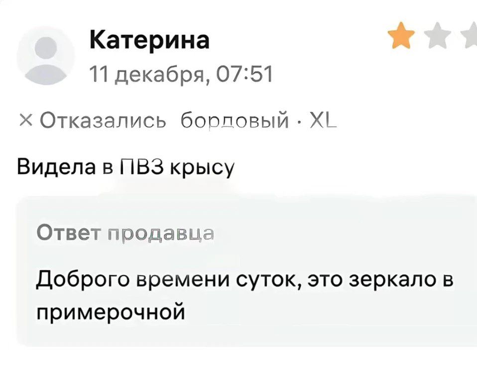 Катерина 11 декабря, 07:51 Отказались бордовый XL Видела в ПВЗ крысу Ответ продавца Доброго времени суток, это зеркало в примерочной