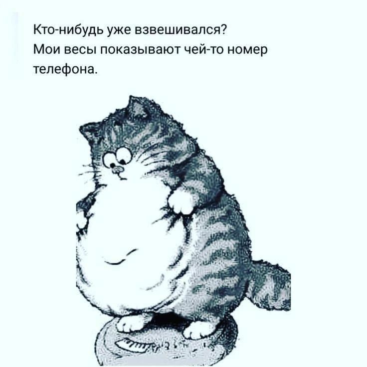 Кто-нибудь уже взвешивался? Мои весы показывают чей-то номер телефона.