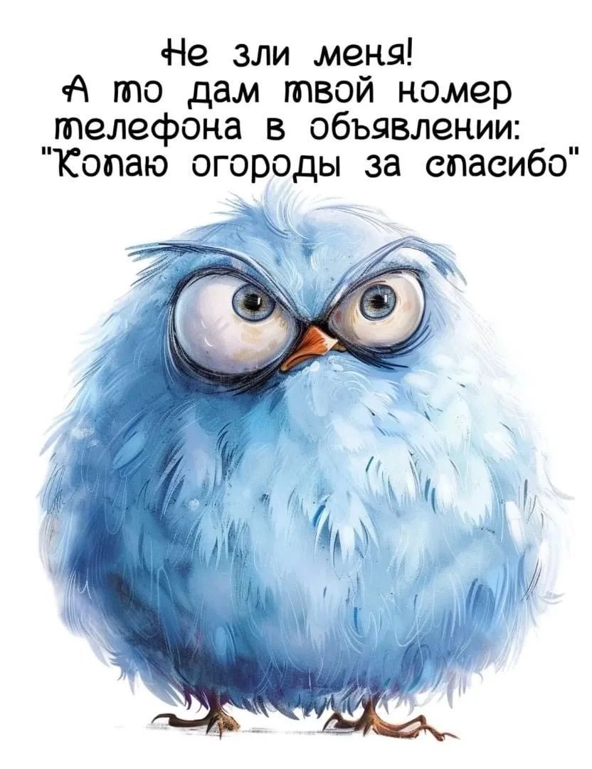 Не зли меня! А то дам твой номер телефона в объявлении: 