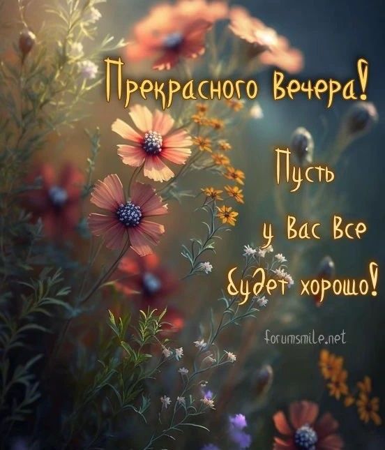 Прекрасного Вечера! Пусть у Вас Все будет хорошо! forumsmile.net