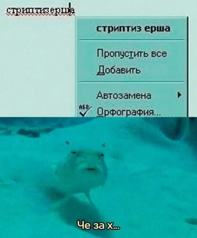 стриптизерша стриптиз ерша Пропустить все Добавить Автозамена Орфография... Че за х...