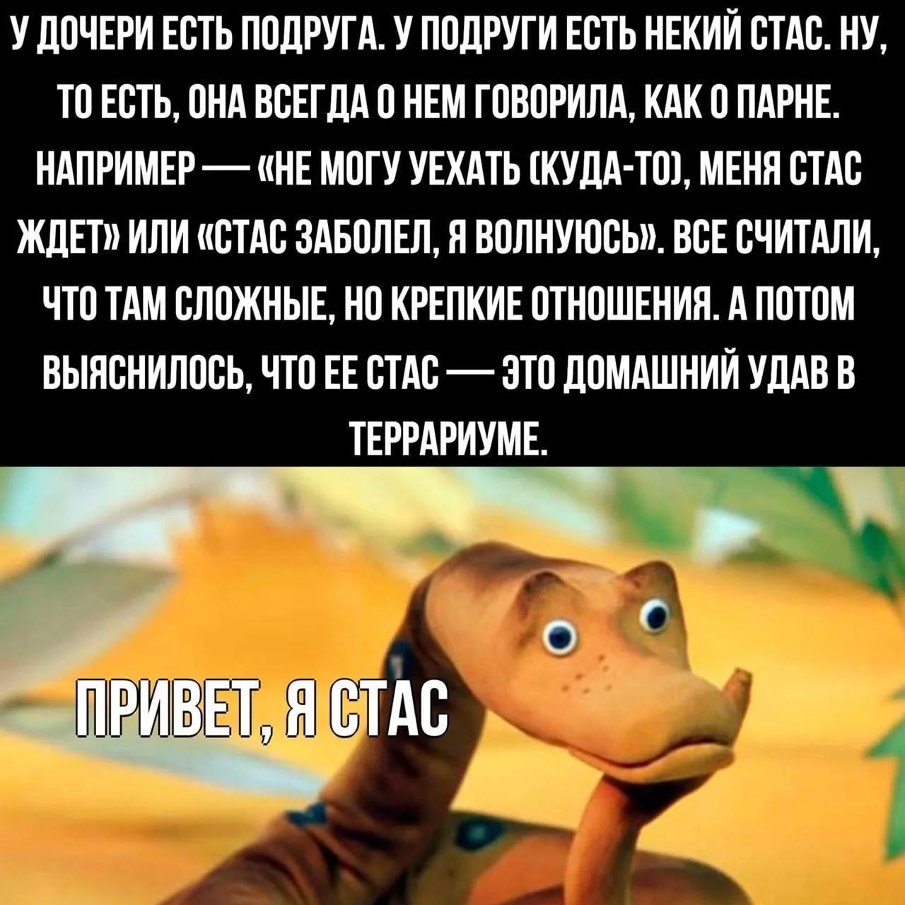 У дочери есть подруга. У подруги есть некий Стас. Ну, то есть, она всегда о нем говорила, как о парне. Например — «Не могу уехать (куда-то), меня Стас ждет» или «Стас заболел, я волнуюсь». Все считали, что там сложные, но крепкие отношения. А потом выяснилось, что ее Стас — это домашний удав в террариуме. Привет, я Стас