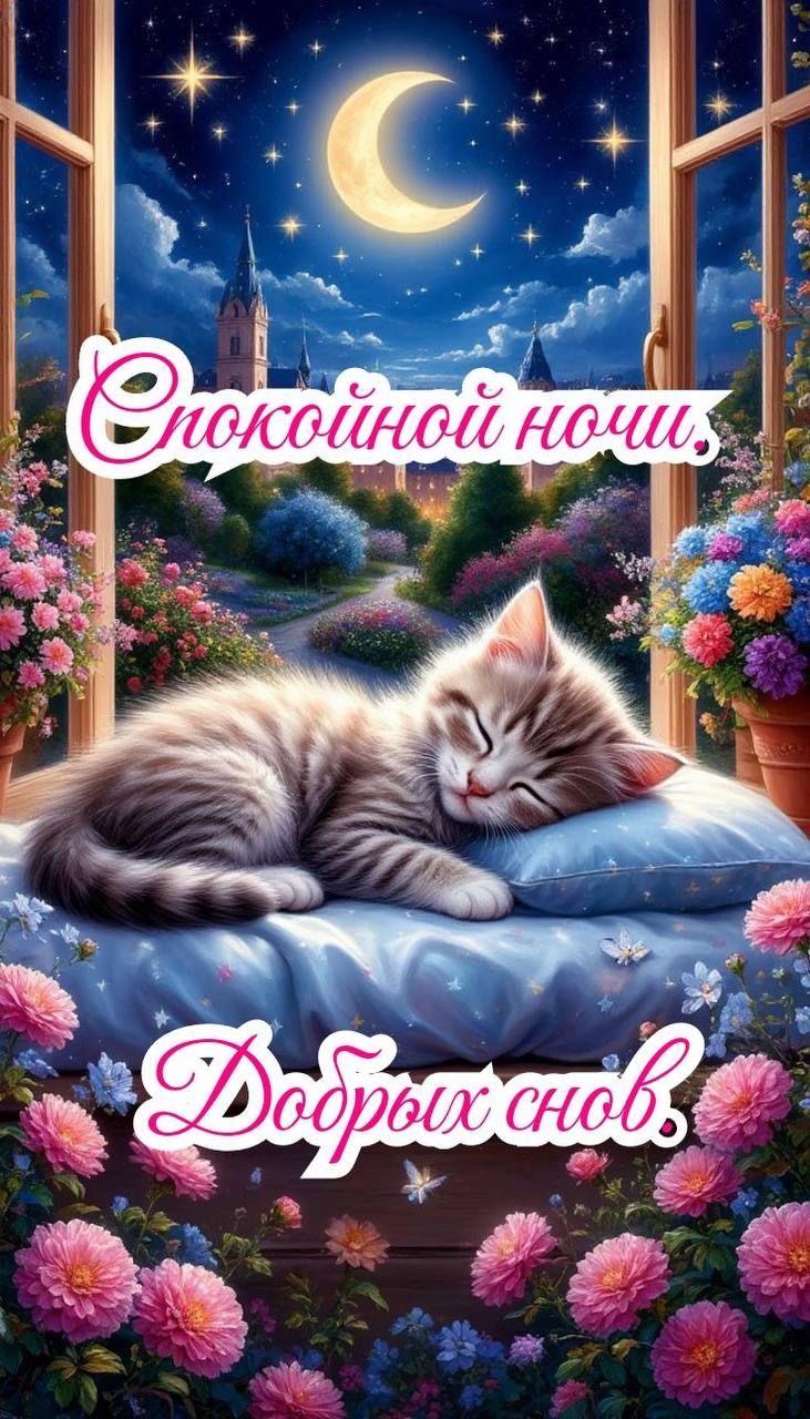 Спокойной ночи. Добрых снов.