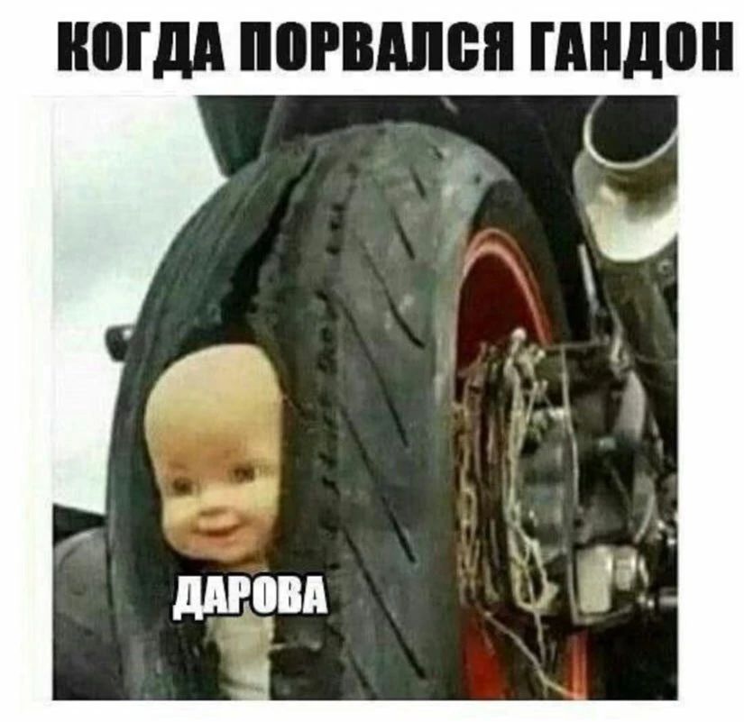 КОГДА ПОРВАЛСЯ ГАНДОН ДАРОВА