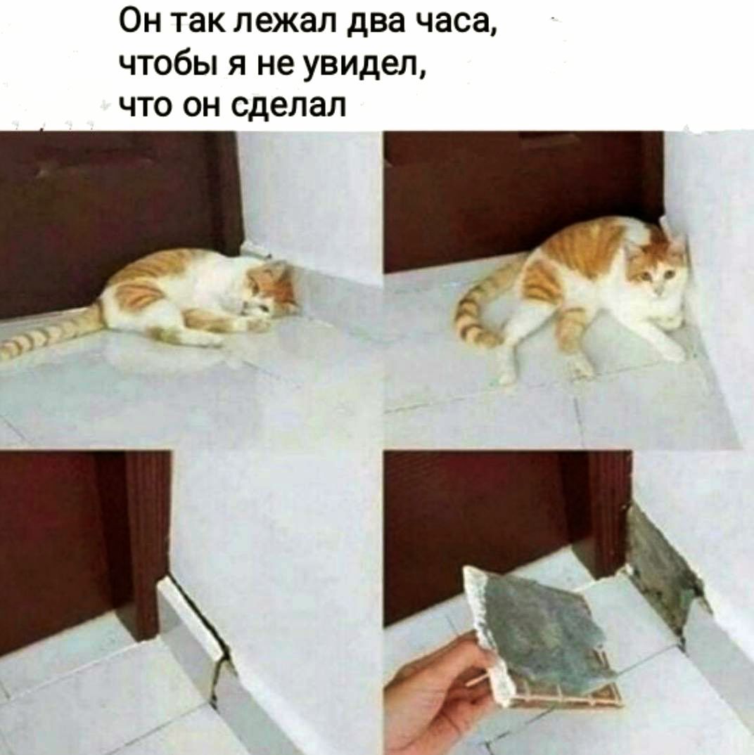 Он так лежал два часа, чтобы я не увидел, что он сделал. На изображении кот лежит на полу, притворяясь невинным, в то время как на нижних кадрах показан поврежденный плинтус или часть стены, которую, предположительно, повредил кот.