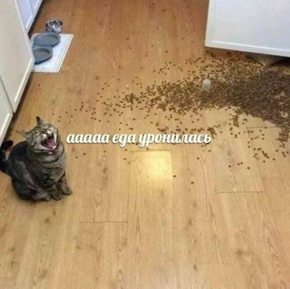 aaaaa еда уронилась