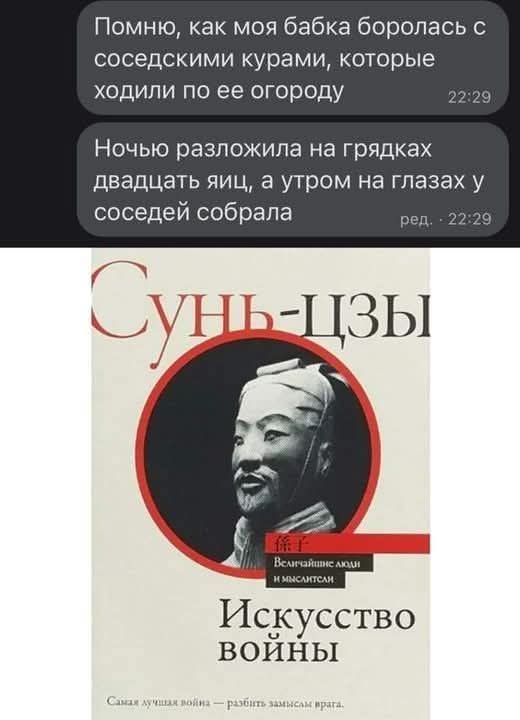 Помню, как моя бабка боролась с соседскими курами, которые ходили по ее огороду. Ночью разложила на грядках двадцать яиц, а утром на глазах у соседей собрала. Сунь-Цзы. Величайшие люди и мыслители. Искусство Войны. Самая лучшая война — разбить замыслы врага.