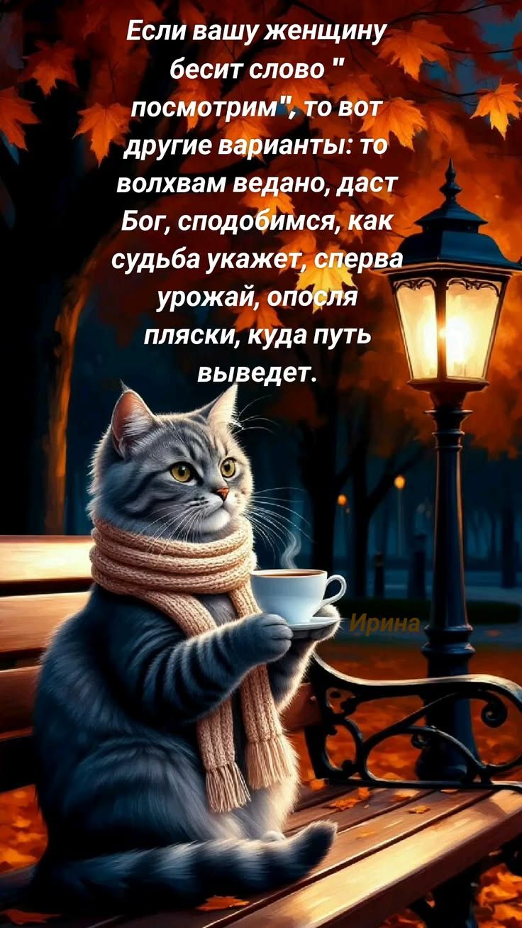 Если вашу женщину бесит слово 