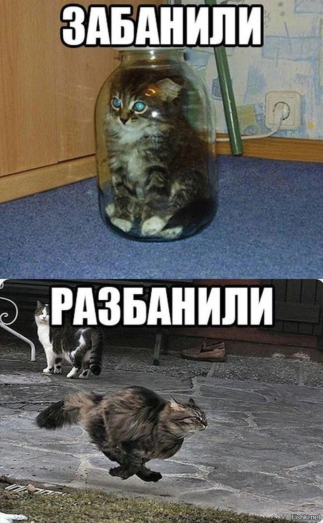 ЗАБАНИЛИ РАЗБАНИЛИ