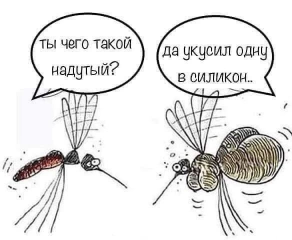 Ты чего такой надутый? Да укусил одну в силикон..