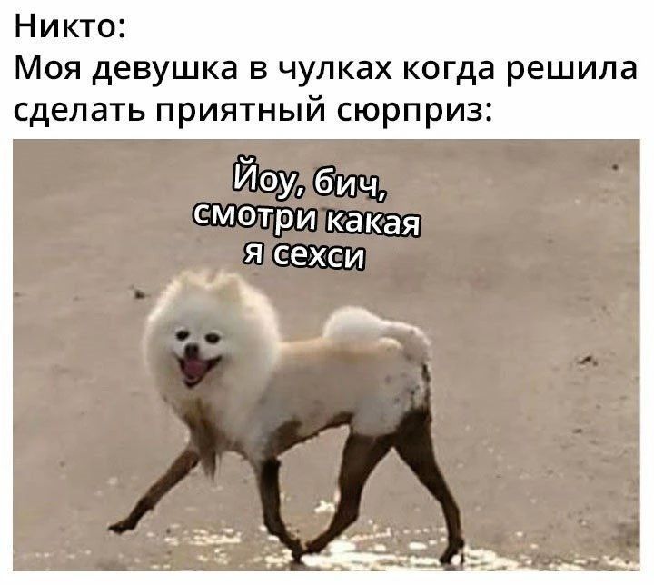 Никто: Моя девушка в чулках когда решила сделать приятный сюрприз: Йоу, бич, смотри какая я сехси
