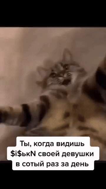 Ты, когда видишь сиськи своей девушки в сотый раз за день