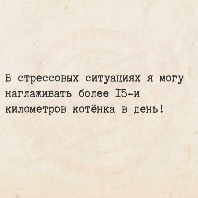 В стрессовых ситуациях я могу наглаживать более 15-и километров котёнка в день!